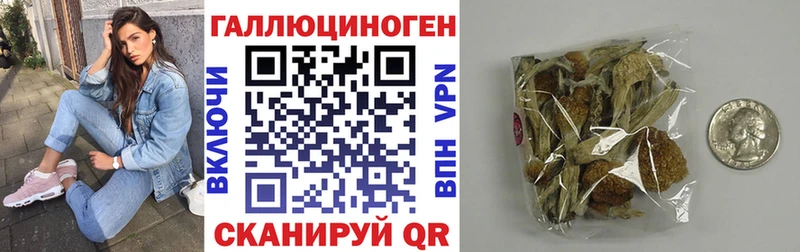 Купить где  Пущино  Псилоцибиновые грибы GOLDEN TEACHER 